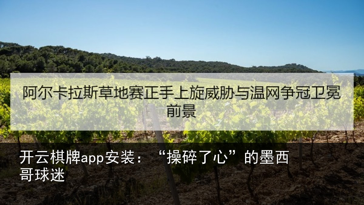 开云棋牌app安装:“操碎了心”的墨西哥球迷