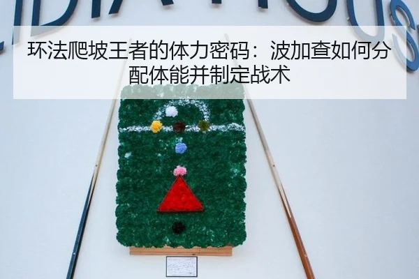 环法爬坡王者的体力密码：波加查如何分配体能并制定战术