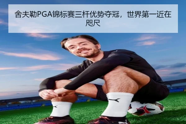 舍夫勒PGA锦标赛三杆优势夺冠，世界第一近在咫尺