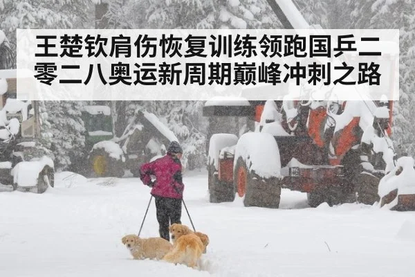 王楚钦肩伤恢复训练领跑国乒二零二八奥运新周期巅峰冲刺之路